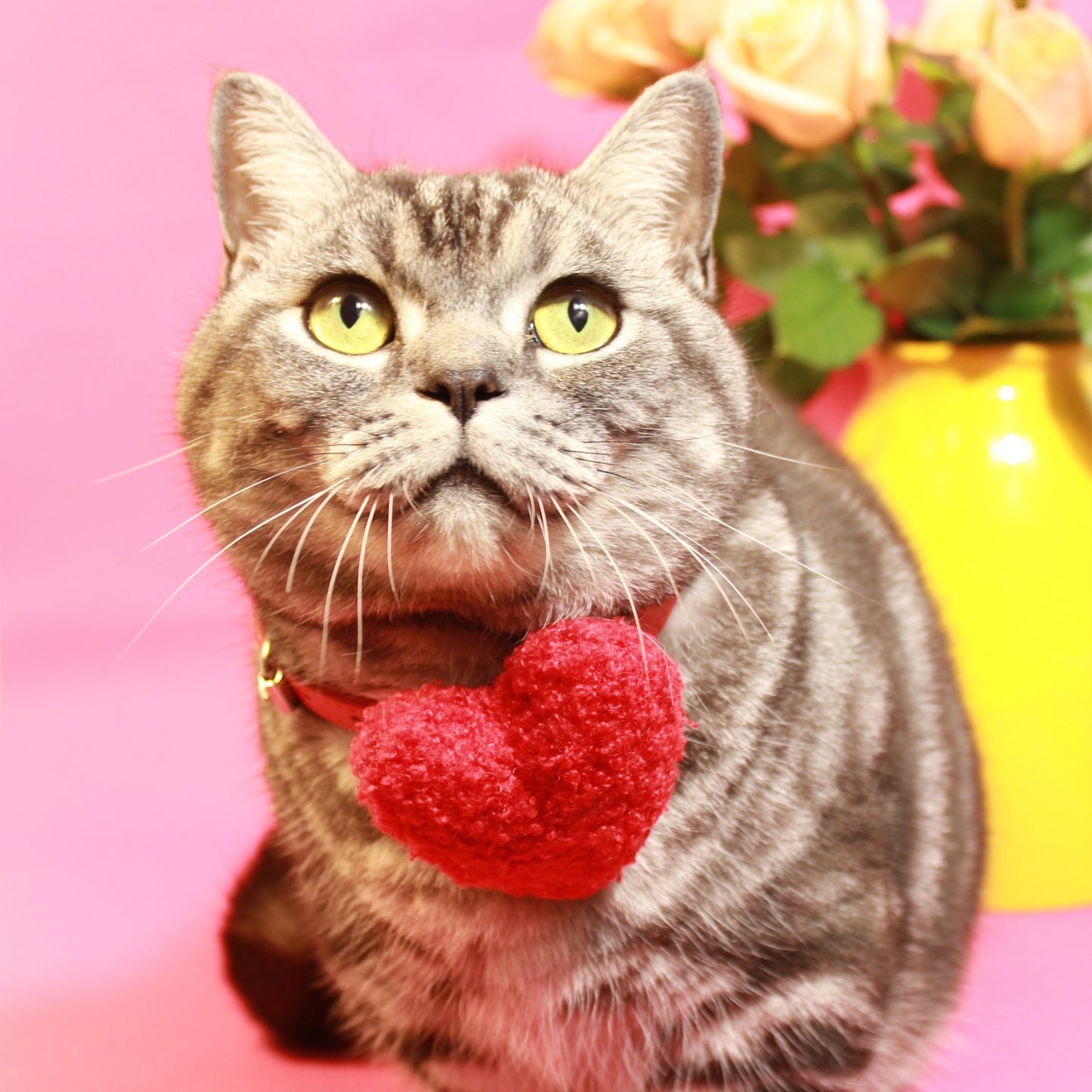 Cat Gift Set in Red with Modular Collar Velvet Bow and Catnip Toys