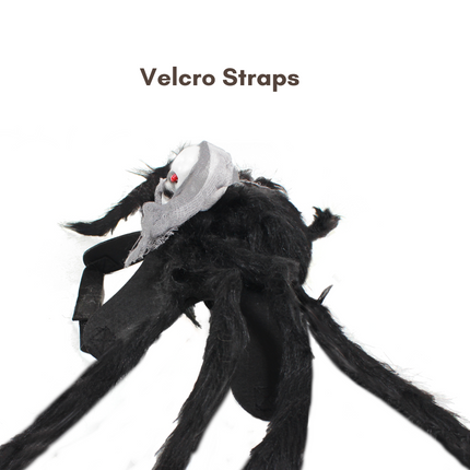 Halloween Spider with Head Scarf Pet Costume