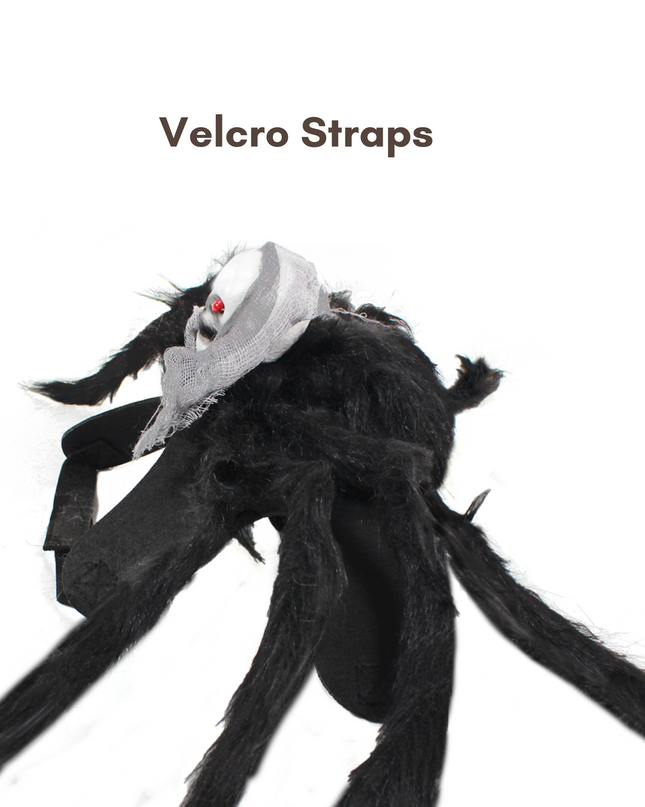 Halloween Spider with Head Scarf Pet Costume
