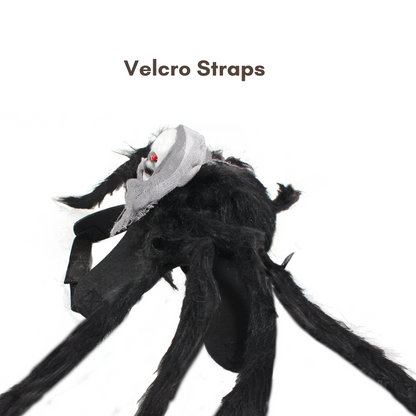 Halloween Spider with Head Scarf Pet Costume