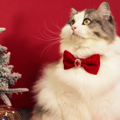Modular Cat Collar with Red Velvet Bow and Zircon Shine