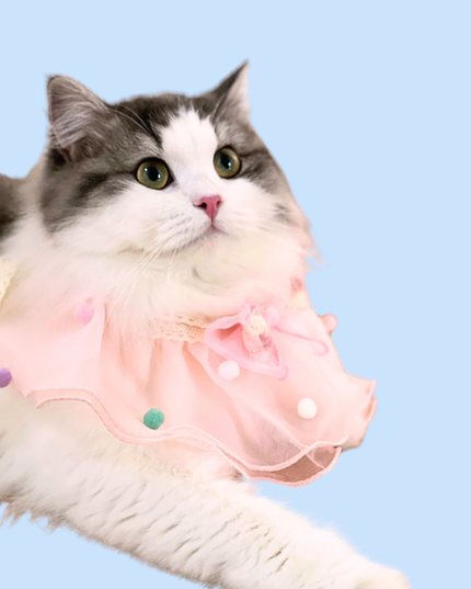 Pink Candy Bliss - Cat and Dog Birthday Party Kit