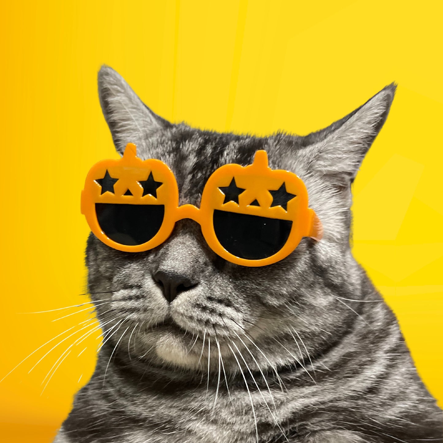 Orange Halloween Pumpkin Sunglasses