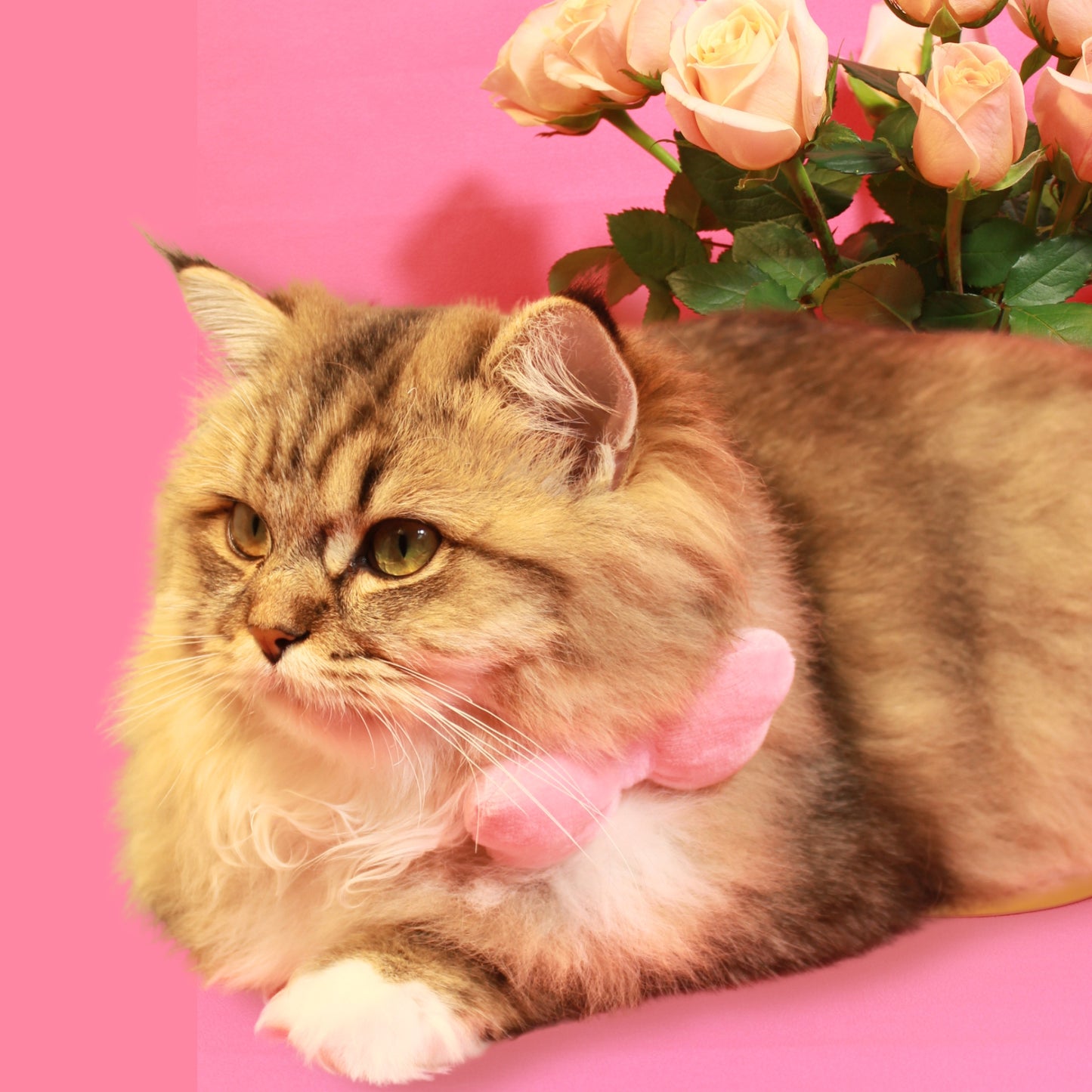 Light Pink Bowknot Catnip Toy for Playful Cats