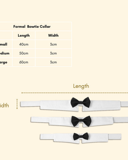 Pilot Yellow Adventure - Cat and Dog Birthday Party Kit