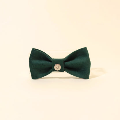 Modular Cat Collar with Green Velvet Bow