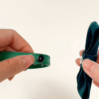Modular Cat Collar with Green Velvet Bow