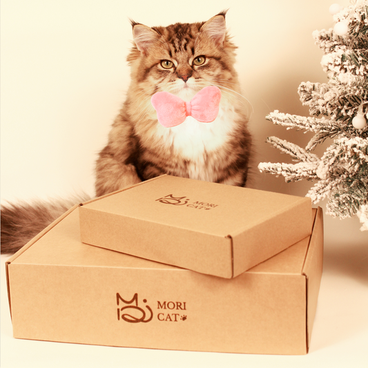 Cat Gift Set in Pink with Modular Collar Velvet Bow and Catnip Toys