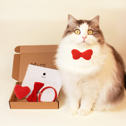 Cat Gift Set in Red with Modular Collar Velvet Bow and Catnip Toys