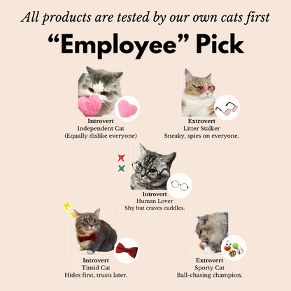 Handmade Wool Tennis Ball Cat Toy