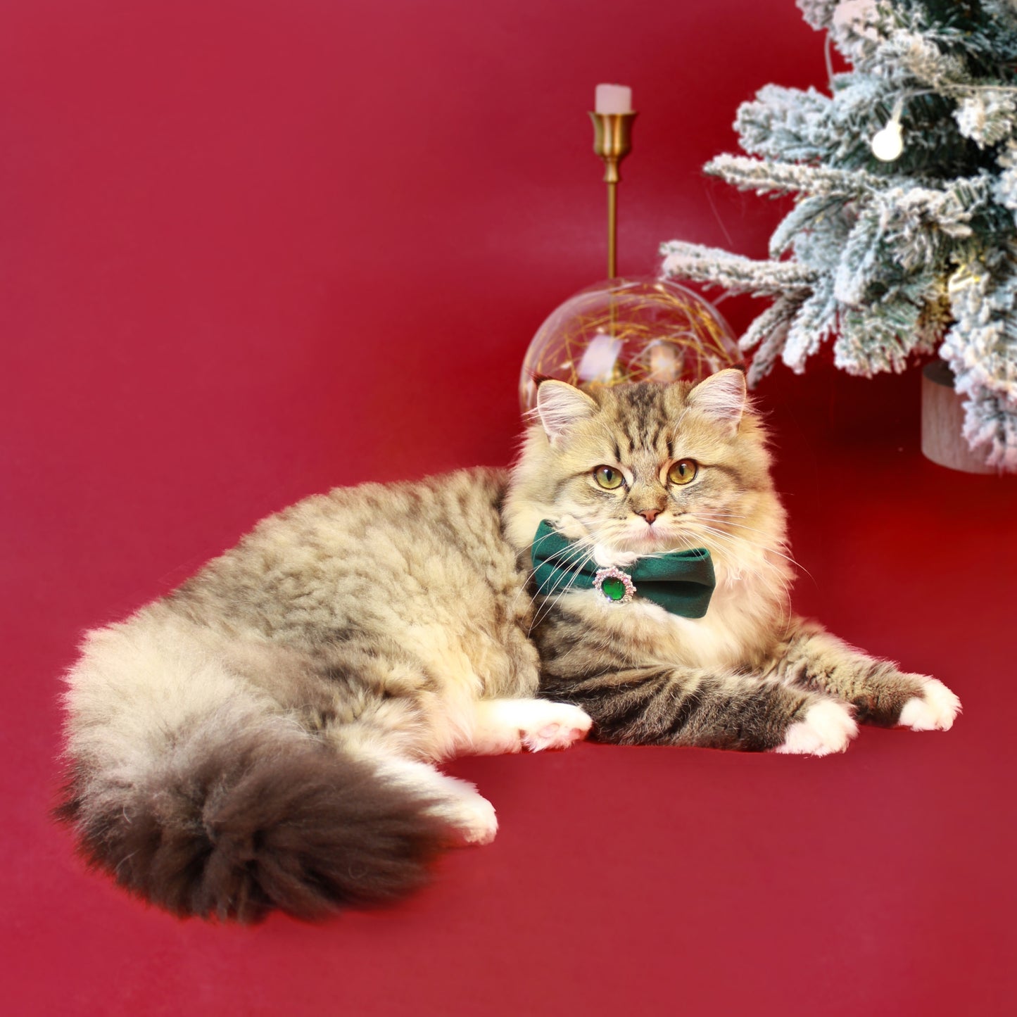 Modular Cat Collar with Green Velvet Bow and Zircon Shine