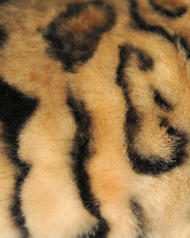 16-Inch Custom Pet Plush Gift (41 cm) – Handcrafted Collector’s Edition