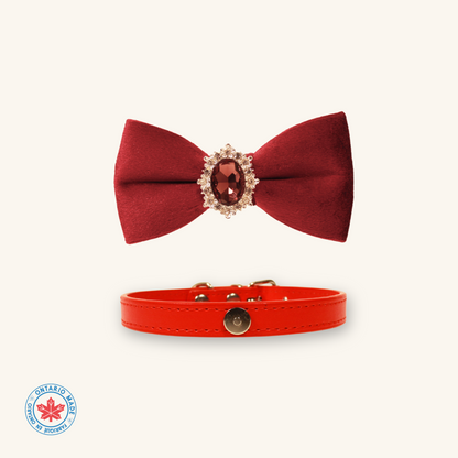 Modular Cat Collar with Red Velvet Bow and Zircon Shine