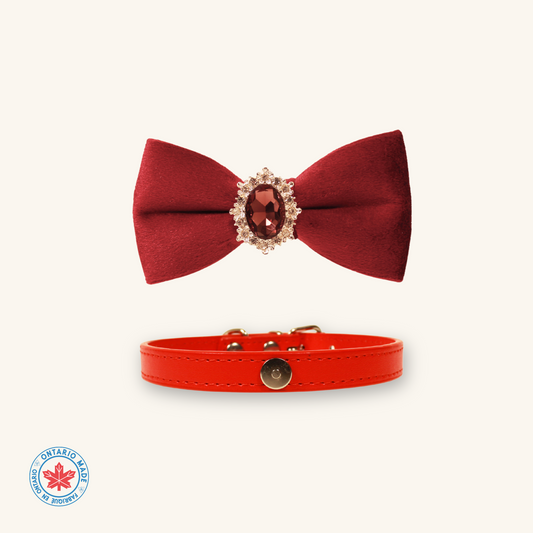 Modular Cat Collar with Red Velvet Bow and Zircon Shine