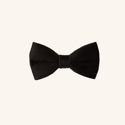 Modular Cat Collar with Black Velvet Bow