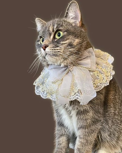 Elegant Pearl & Diamond White Smoke Lace Collar with Gold Trim