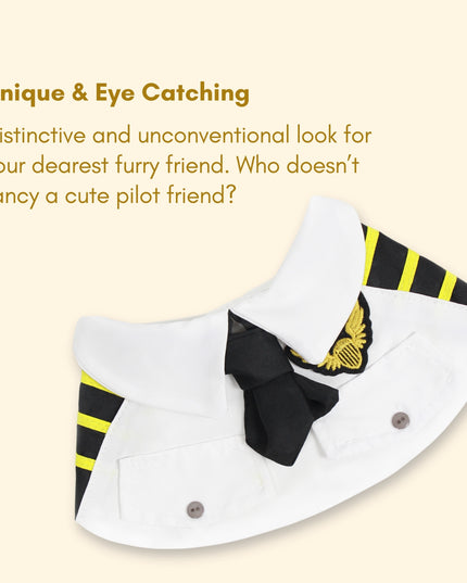 Pilot Yellow Adventure - Cat and Dog Birthday Party Kit