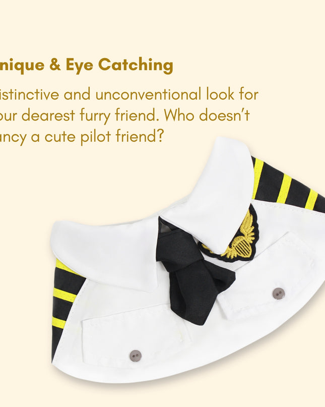 Pilot Yellow Adventure - Cat and Dog Birthday Party Kit