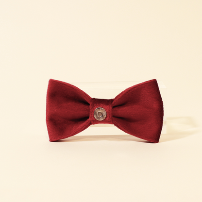 Modular Cat Collar with Red Velvet Bow