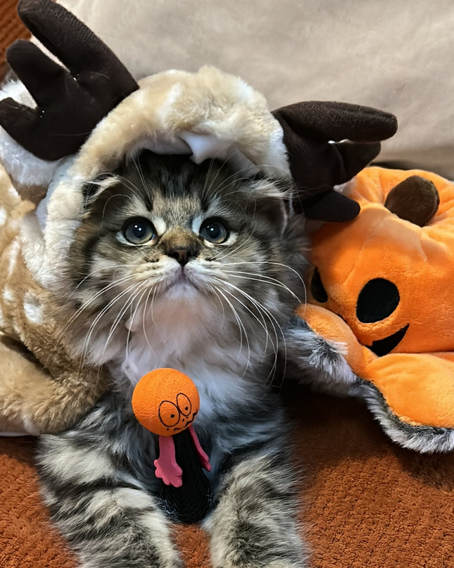 Adorable Reindeer Pet Costume Cloak