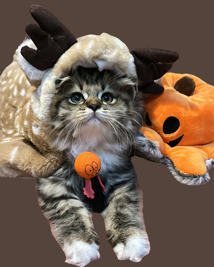 Adorable Reindeer Pet Costume Cloak