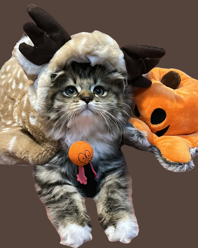 Adorable Reindeer Pet Costume Cloak