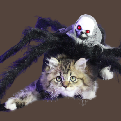 Halloween Spider with Head Scarf Pet Costume