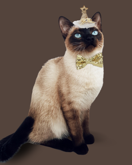 Starry Night Sequins Hat for Pets