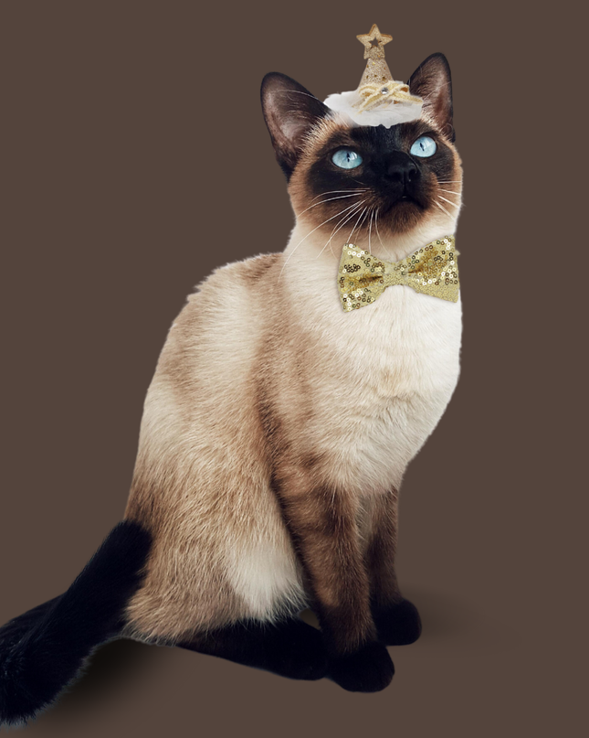 Starry Night Sequins Hat for Pets