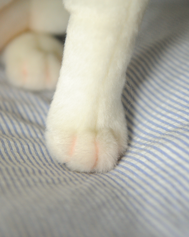 24-Inch Custom Pet Plush Gift (61 cm) – Handmade Luxury Stuffed Animal Keepsake