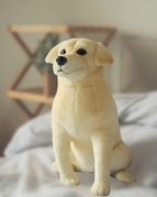 Both Pocket and Weighted Plush