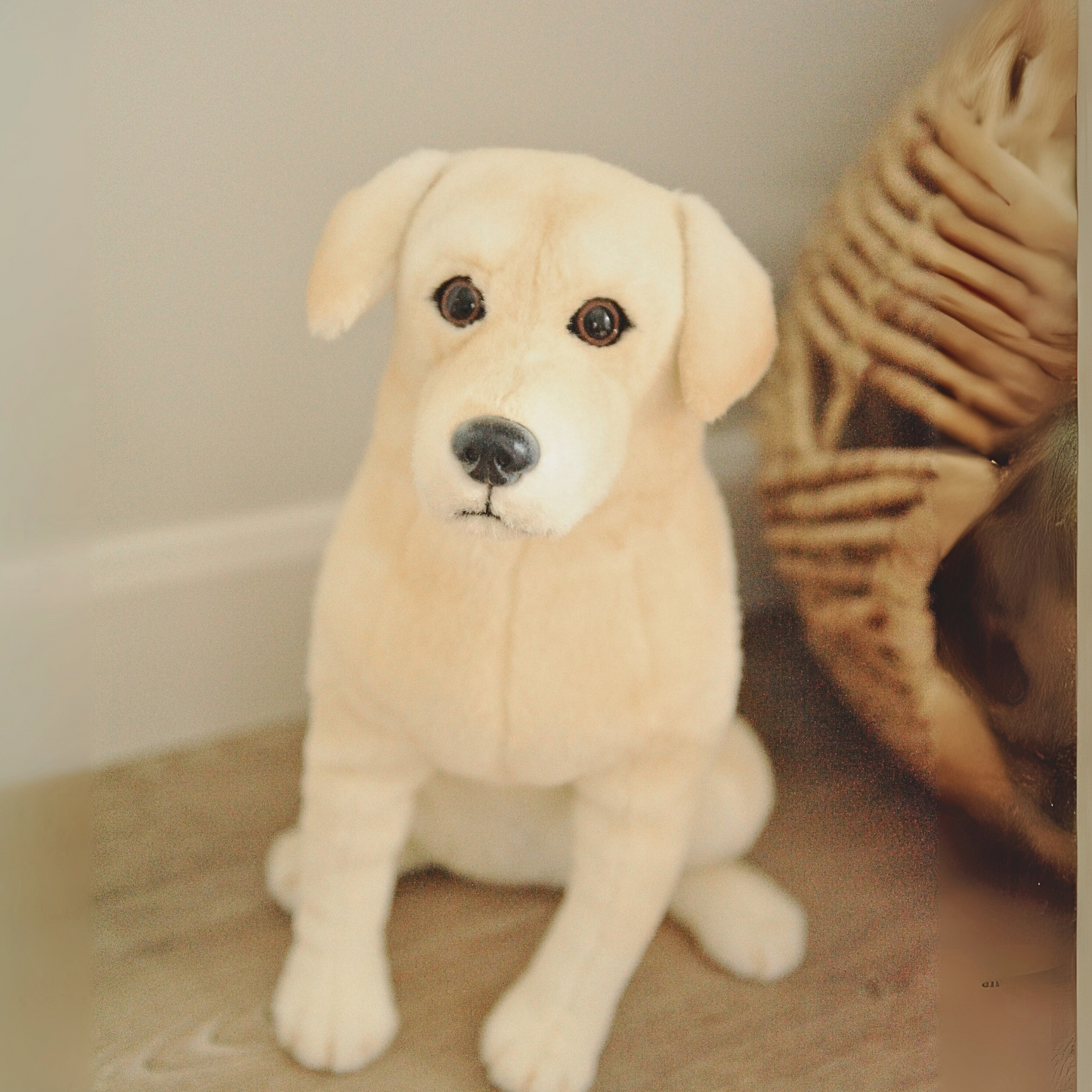 10-Inch Custom Pet Plush Gift (25 cm)