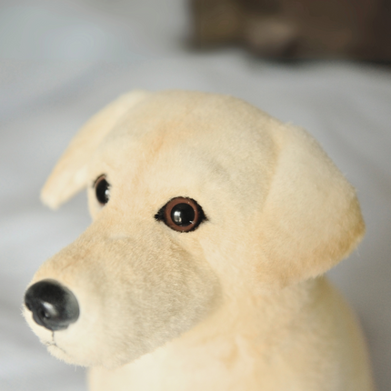 10-Inch Custom Pet Plush Gift (25 cm) – Handmade Keepsake