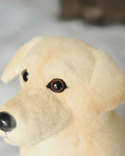 10-Inch Custom Pet Plush Gift (25 cm) – Handmade Keepsake