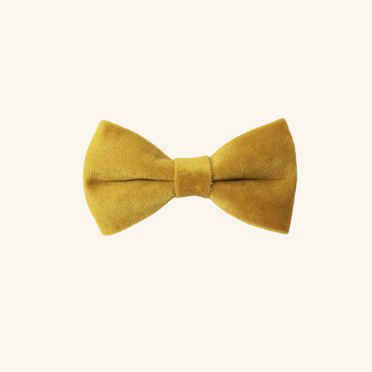 Modular Cat Collar with Mustard Yellow Velvet Bow