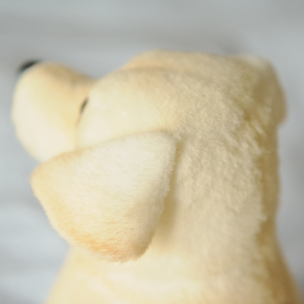 10-Inch Custom Pet Plush Gift (25 cm) – Handmade Keepsake