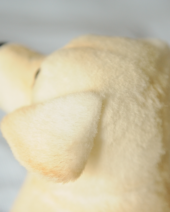 10-Inch Custom Pet Plush Gift (25 cm) – Handmade Keepsake