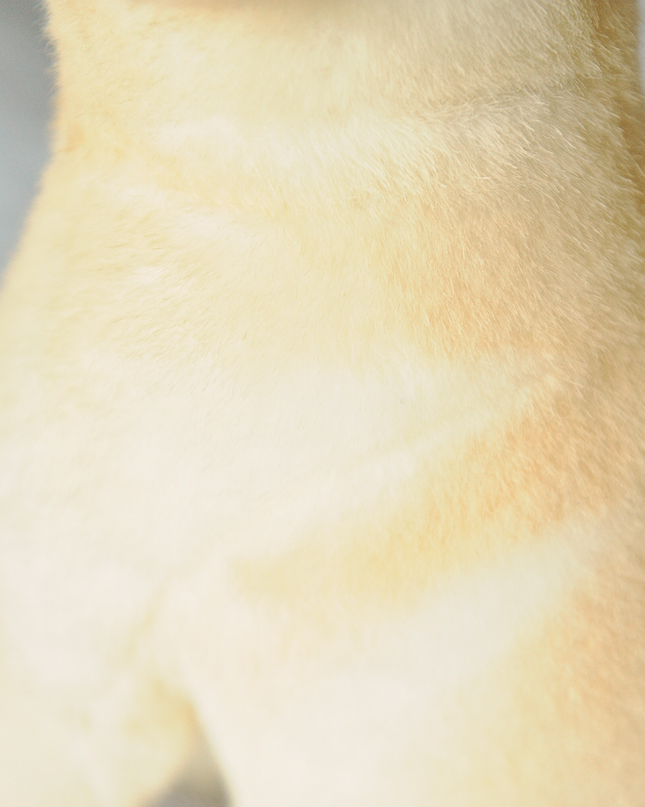 10-Inch Custom Pet Plush Gift (25 cm) – Handmade Keepsake