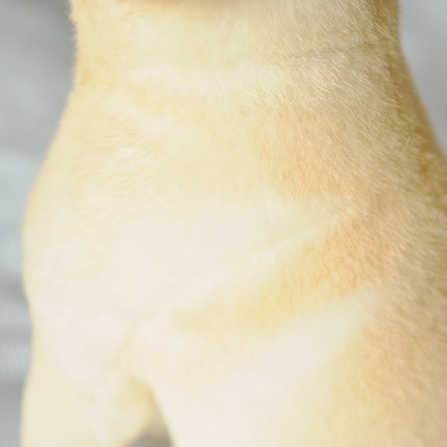 10-Inch Custom Pet Plush Gift (25 cm)