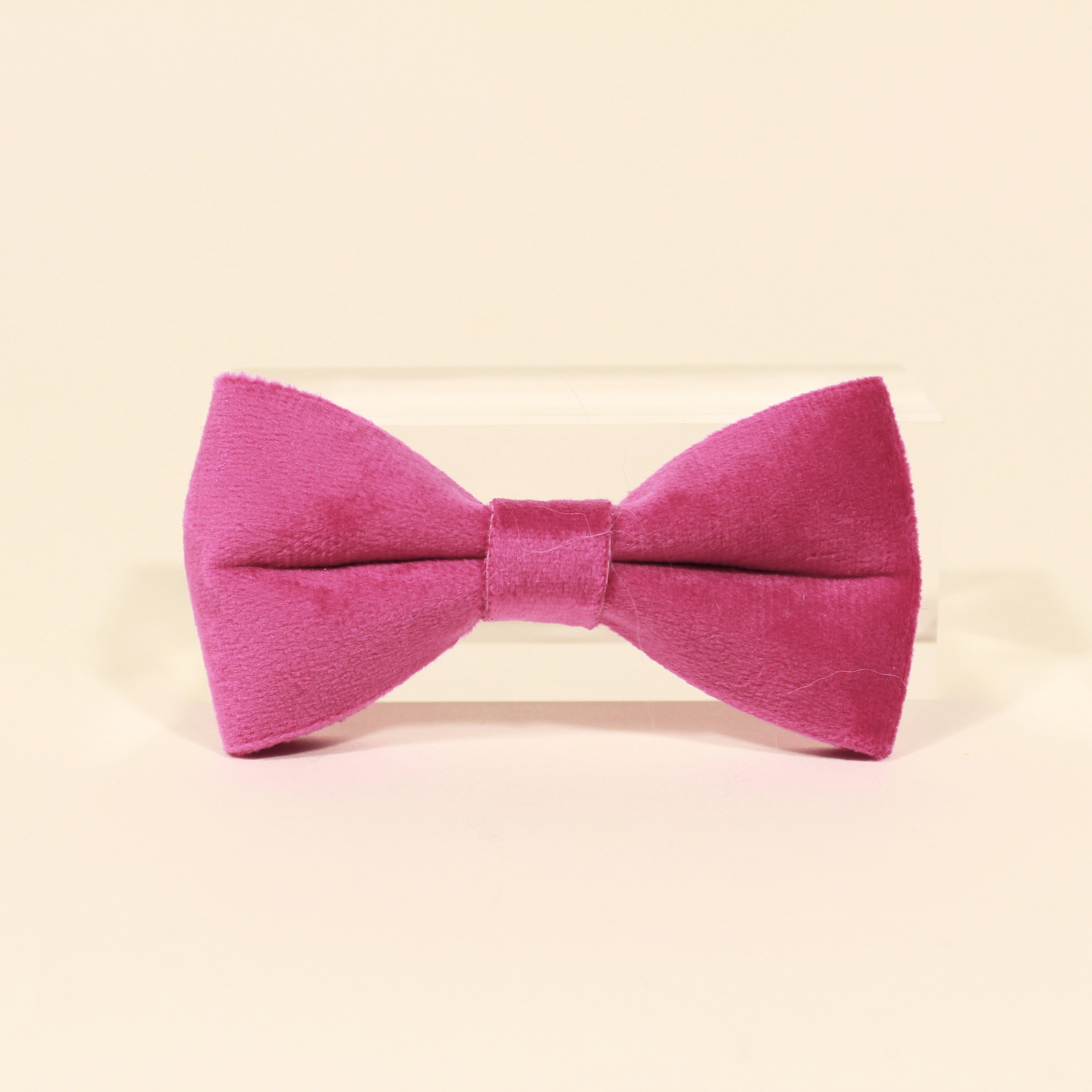 Modular Cat Collar with Bright Pink Velvet Bow