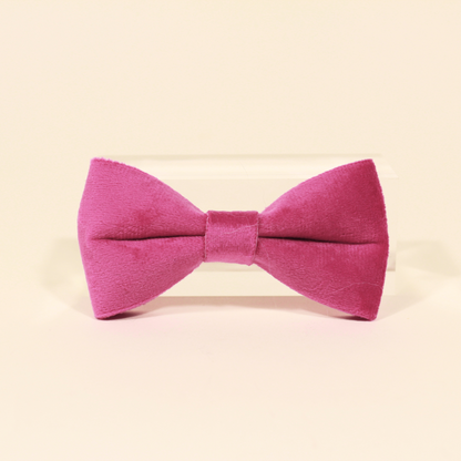 Modular Cat Collar with Bright Pink Velvet Bow