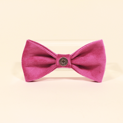 Modular Cat Collar with Bright Pink Velvet Bow