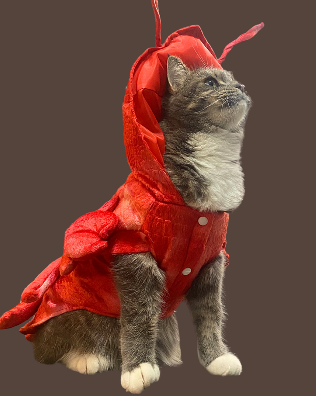 Lobster Costume for Pets