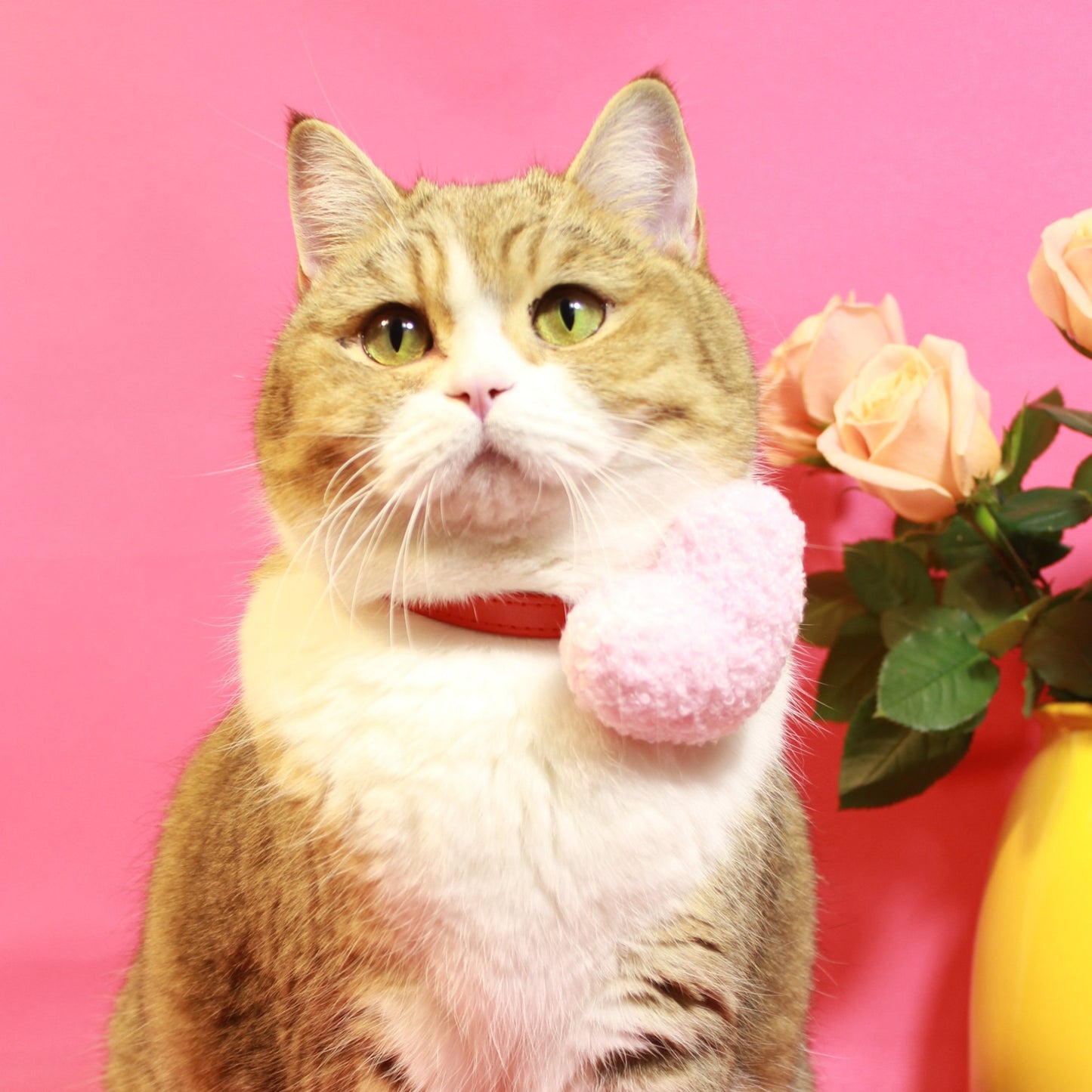Pink Plush Catnip Heart Toy for Playful Cats