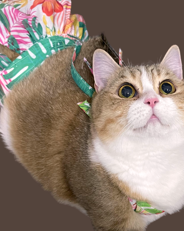 Tropical Hawaii Bikini Costume for Cats and Dogs – Adjustable Summer Skirt Set