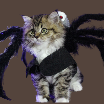 Halloween Spider with Head Scarf Pet Costume