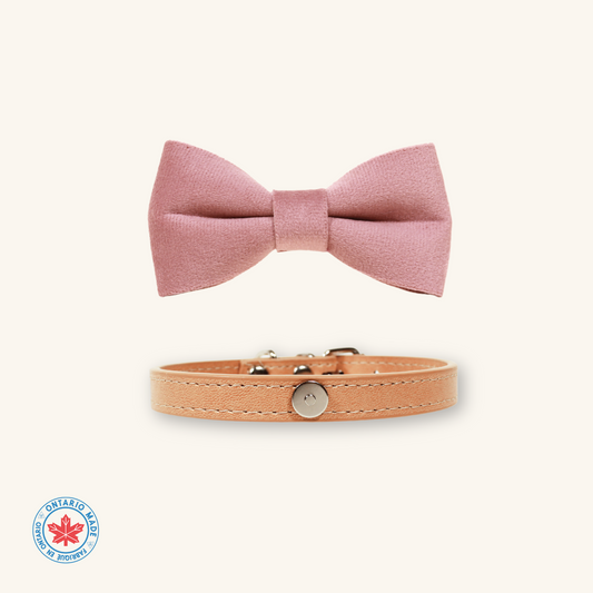 Modular Cat Collar with Light Pink Velvet Bow
