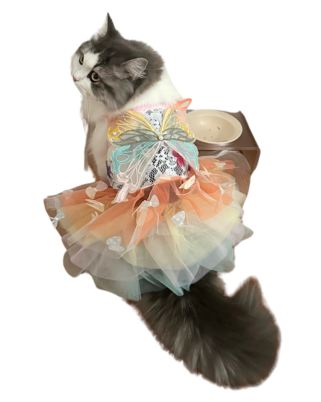 Rainbow Butterfly for Pets – Adjustable Tulle Skirt with Pearl Accents
