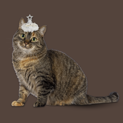 Starry Night Sequins Hat for Pets