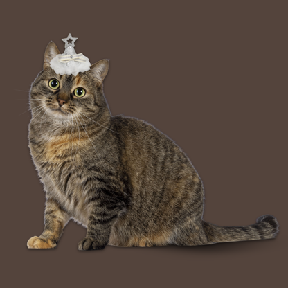 Starry Night Sequins Hat for Pets